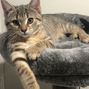 Meet your Posher, Sharon